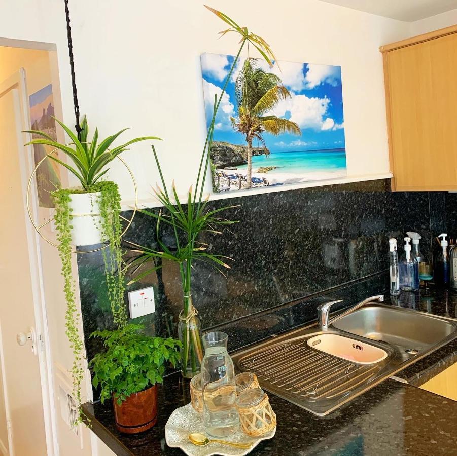 Garden Beautiful Cozy Flat , Recent Decorated. Appartement Londen Buitenkant foto