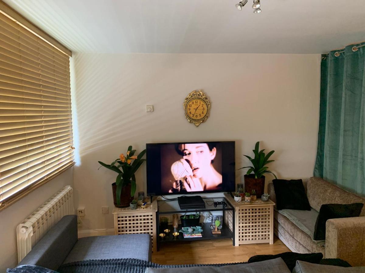 Garden Beautiful Cozy Flat , Recent Decorated. Appartement Londen Buitenkant foto