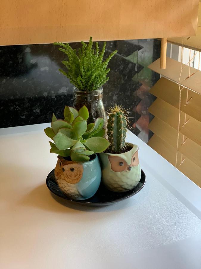 Garden Beautiful Cozy Flat , Recent Decorated. Appartement Londen Buitenkant foto