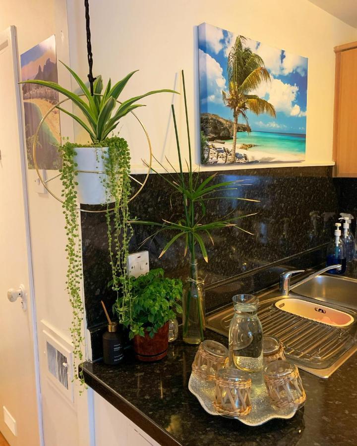 Garden Beautiful Cozy Flat , Recent Decorated. Appartement Londen Buitenkant foto